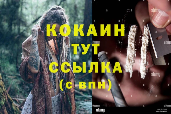 амф Вязьма