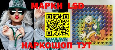 прущие грибы Можайск