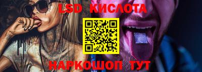 прущие грибы Можайск