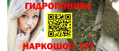 прущие грибы Можайск