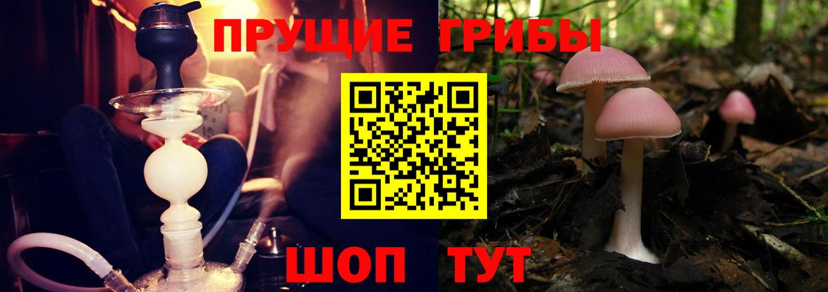 Псилоцибиновые грибы мицелий  Вход с VPN  Снежинск  Псилоцибиновые грибы Magic Shrooms 